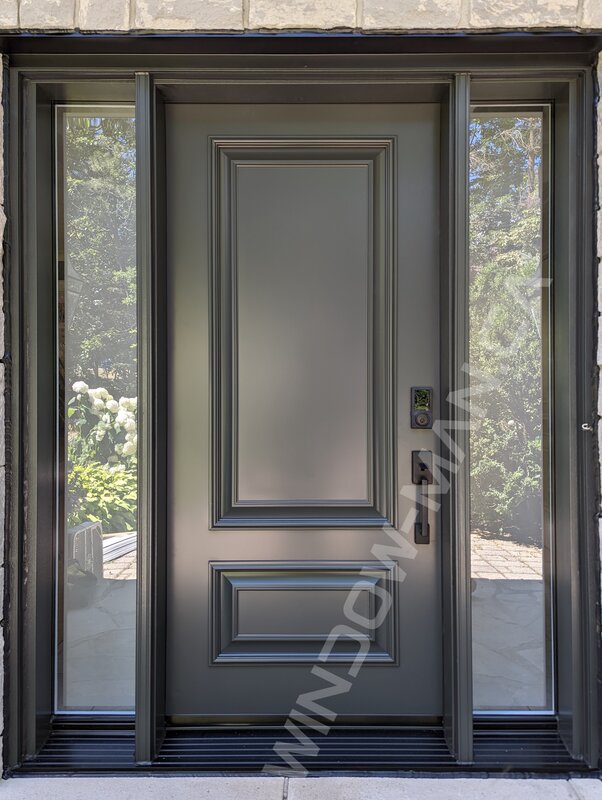 iron ore single steel door with sidelights and clear border glass, executive panels
